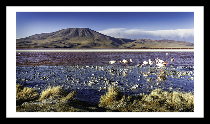 Laguna Colorada - Bolívia 2016 - 16h40m01s