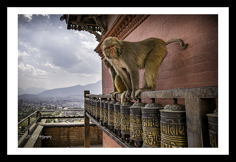 Swayambhunath - नेपाल 2014 - 08h51m55s
